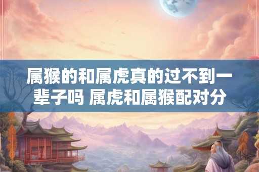 属猴的和属虎真的过不到一辈子吗 属虎和属猴配对分析 属猴的和属虎真的过不到一辈子吗 属虎和属猴配对分析