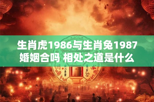 生肖虎1986与生肖兔1987婚姻合吗 相处之道是什么 生肖虎1986与生肖兔1987婚姻合吗 相处之道是什么