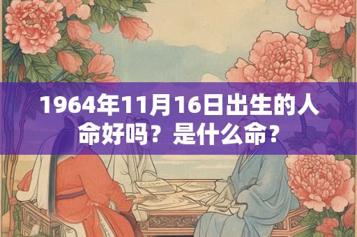 1964年11月16日出生的人命好吗？是什么命？