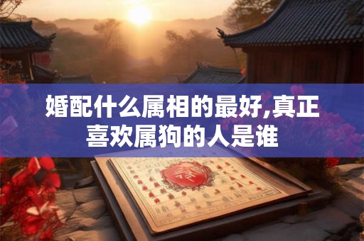 婚配什么属相的最好,真正喜欢属狗的人是谁