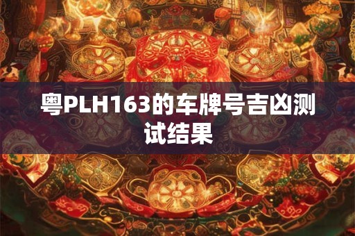 粤PLH163的车牌号吉凶测试结果