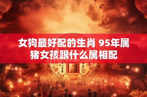 女狗最好配的生肖 95年属猪女孩跟什么属相配