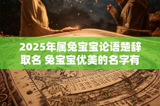 2025年属兔宝宝论语楚辞取名 兔宝宝优美的名字有哪些