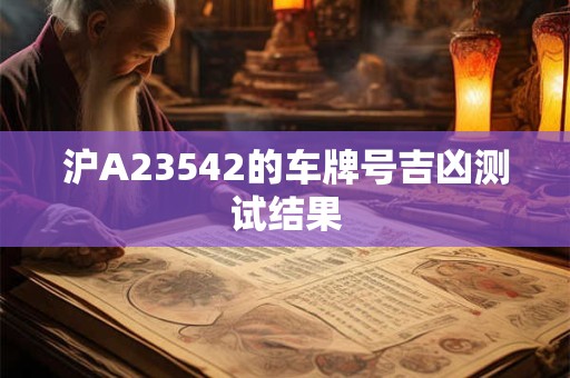 沪A23542的车牌号吉凶测试结果
