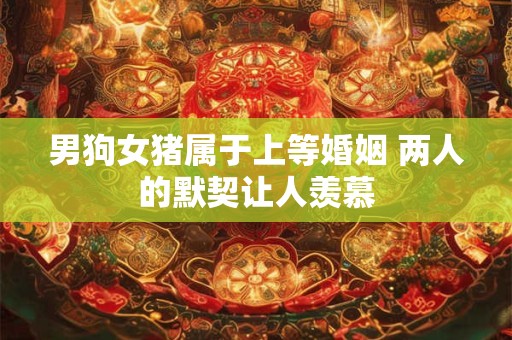 男狗女猪属于上等婚姻 两人的默契让人羡慕