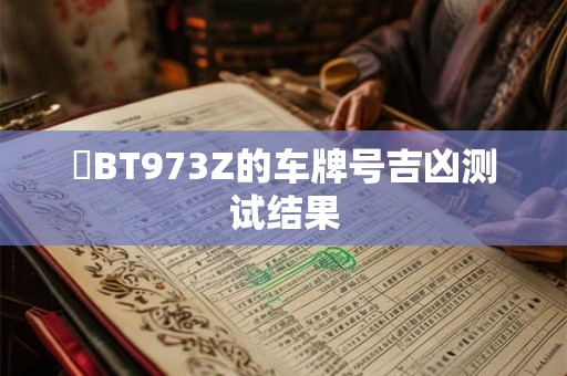 粵BT973Z的车牌号吉凶测试结果