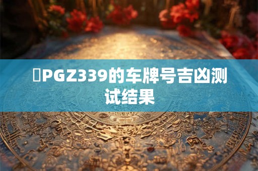 遼PGZ339的车牌号吉凶测试结果
