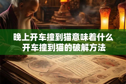 晚上开车撞到猫意味着什么 开车撞到猫的破解方法