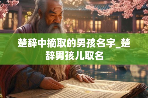 楚辞中摘取的男孩名字_楚辞男孩儿取名