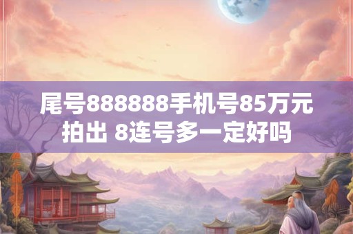 尾号888888手机号85万元拍出 8连号多一定好吗 尾号888888手机号85万元拍出 8连号多一定好吗