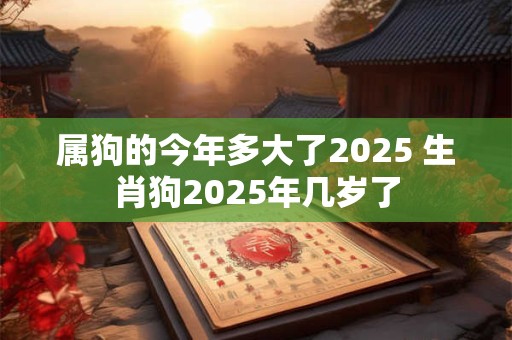 属狗的今年多大了2025 生肖狗2025年几岁了