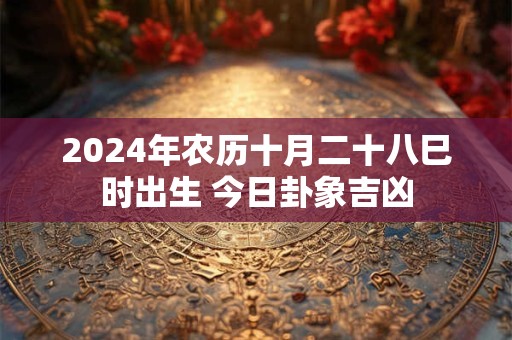 2024年农历十月二十八巳时出生 今日卦象吉凶