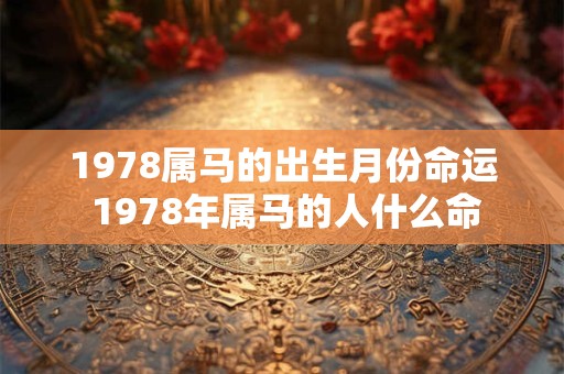 1978属马的出生月份命运 1978年属马的人什么命