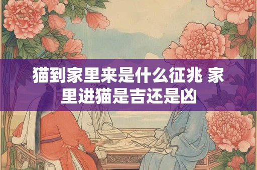 猫到家里来是什么征兆 家里进猫是吉还是凶