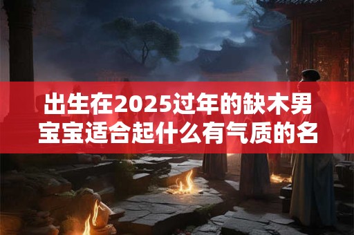 出生在2025过年的缺木男宝宝适合起什么有气质的名字
