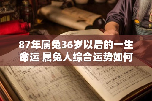 87年属兔36岁以后的一生命运 属兔人综合运势如何