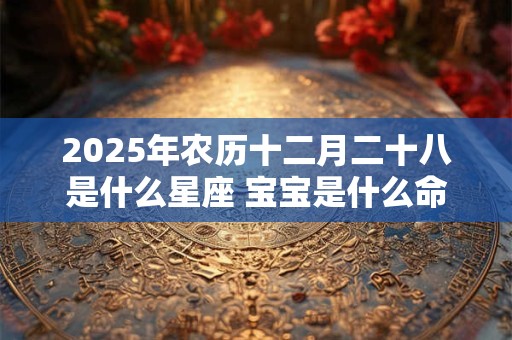 2025年农历十二月二十八是什么星座 宝宝是什么命