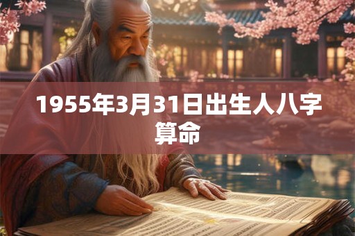 1955年3月31日出生人八字算命