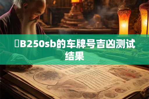 瓊B250sb的车牌号吉凶测试结果