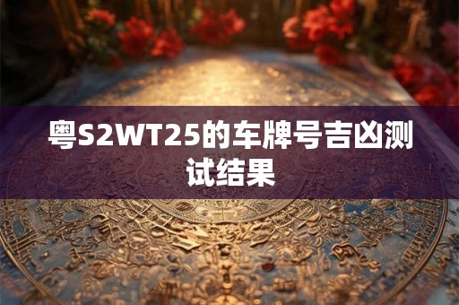 粤S2WT25的车牌号吉凶测试结果