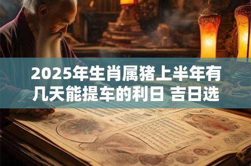 2025年生肖属猪上半年有几天能提车的利日 吉日选择看八字