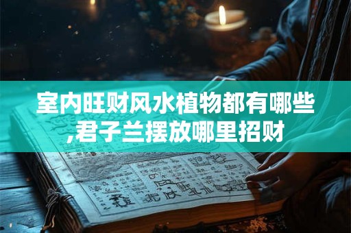 室内旺财风水植物都有哪些,君子兰摆放哪里招财