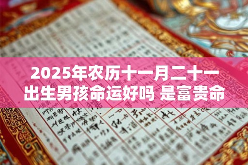 2025年农历十一月二十一出生男孩命运好吗 是富贵命吗