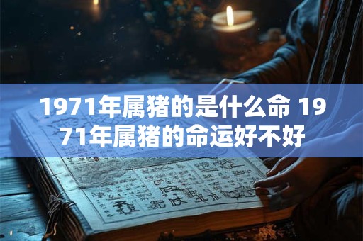 1971年属猪的是什么命 1971年属猪的命运好不好