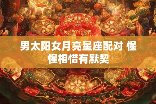 男太阳女月亮星座配对 惺惺相惜有默契