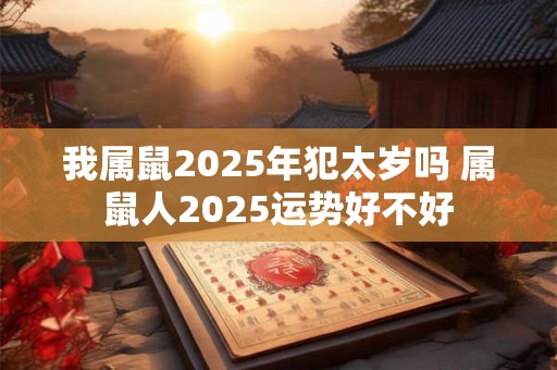 我属鼠2025年犯太岁吗 属鼠人2025运势好不好