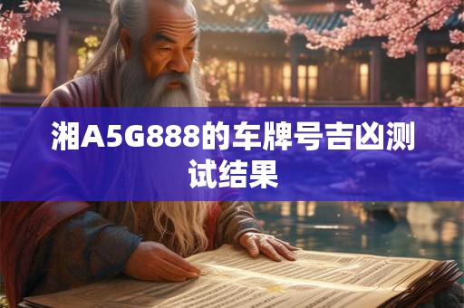 湘A5G888的车牌号吉凶测试结果