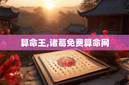 算命王,诸葛免费算命网