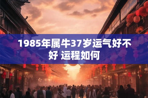 1985年属牛37岁运气好不好 运程如何