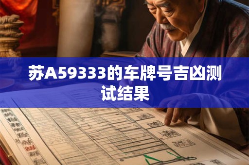 苏A59333的车牌号吉凶测试结果