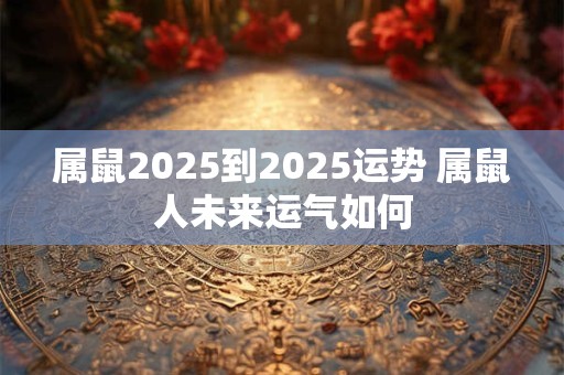 属鼠2025到2025运势 属鼠人未来运气如何