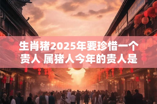 生肖猪2025年要珍惜一个贵人 属猪人今年的贵人是谁