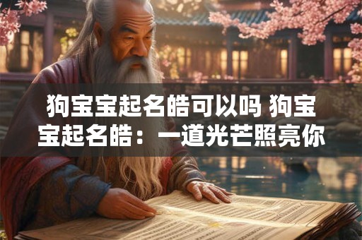 狗宝宝起名皓可以吗 狗宝宝起名皓：一道光芒照亮你的生活