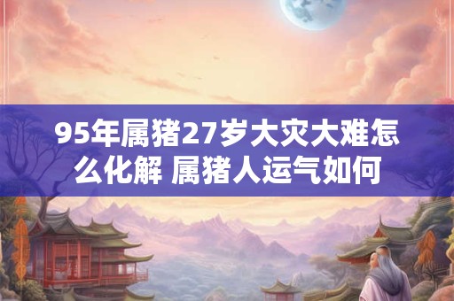 95年属猪27岁大灾大难怎么化解 属猪人运气如何