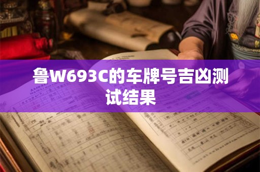 鲁W693C的车牌号吉凶测试结果