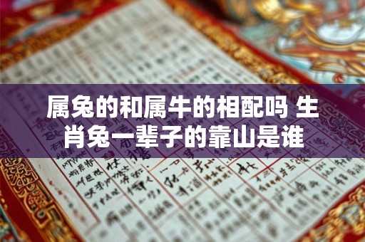 属兔的和属牛的相配吗 生肖兔一辈子的靠山是谁