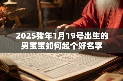 2025猪年1月19号出生的男宝宝如何起个好名字