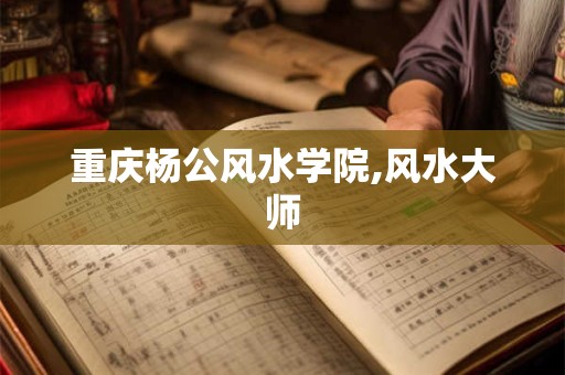 重庆杨公风水学院,风水大师