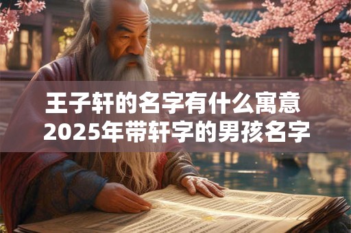 王子轩的名字有什么寓意 2025年带轩字的男孩名字