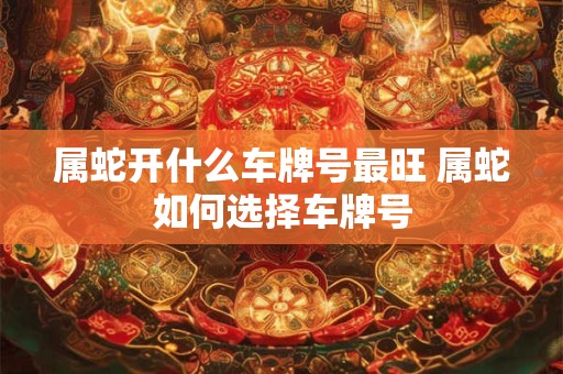 属蛇开什么车牌号最旺 属蛇如何选择车牌号