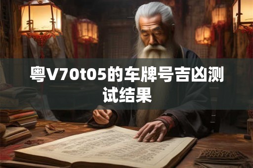 粤V70t05的车牌号吉凶测试结果