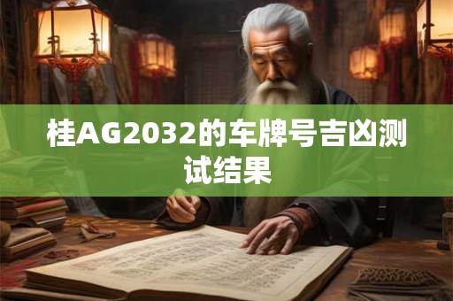 桂AG2032的车牌号吉凶测试结果