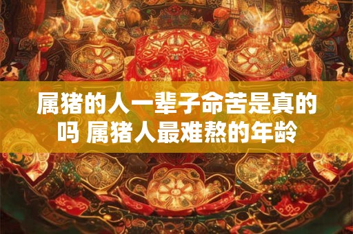 属猪的人一辈子命苦是真的吗 属猪人最难熬的年龄