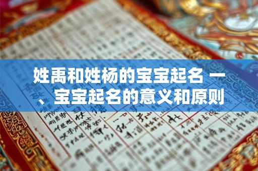 姓禹和姓杨的宝宝起名 一、宝宝起名的意义和原则 姓禹和姓杨的宝宝起名 一、宝宝起名的意义和原则