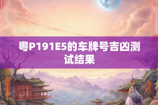 粤P191E5的车牌号吉凶测试结果