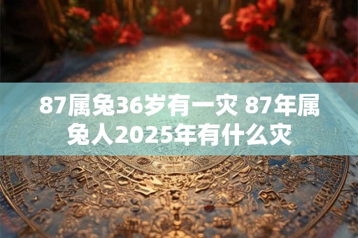 87属兔36岁有一灾 87年属兔人2025年有什么灾